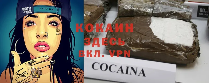 блэк спрут как войти  Карачев  Cocaine Эквадор 